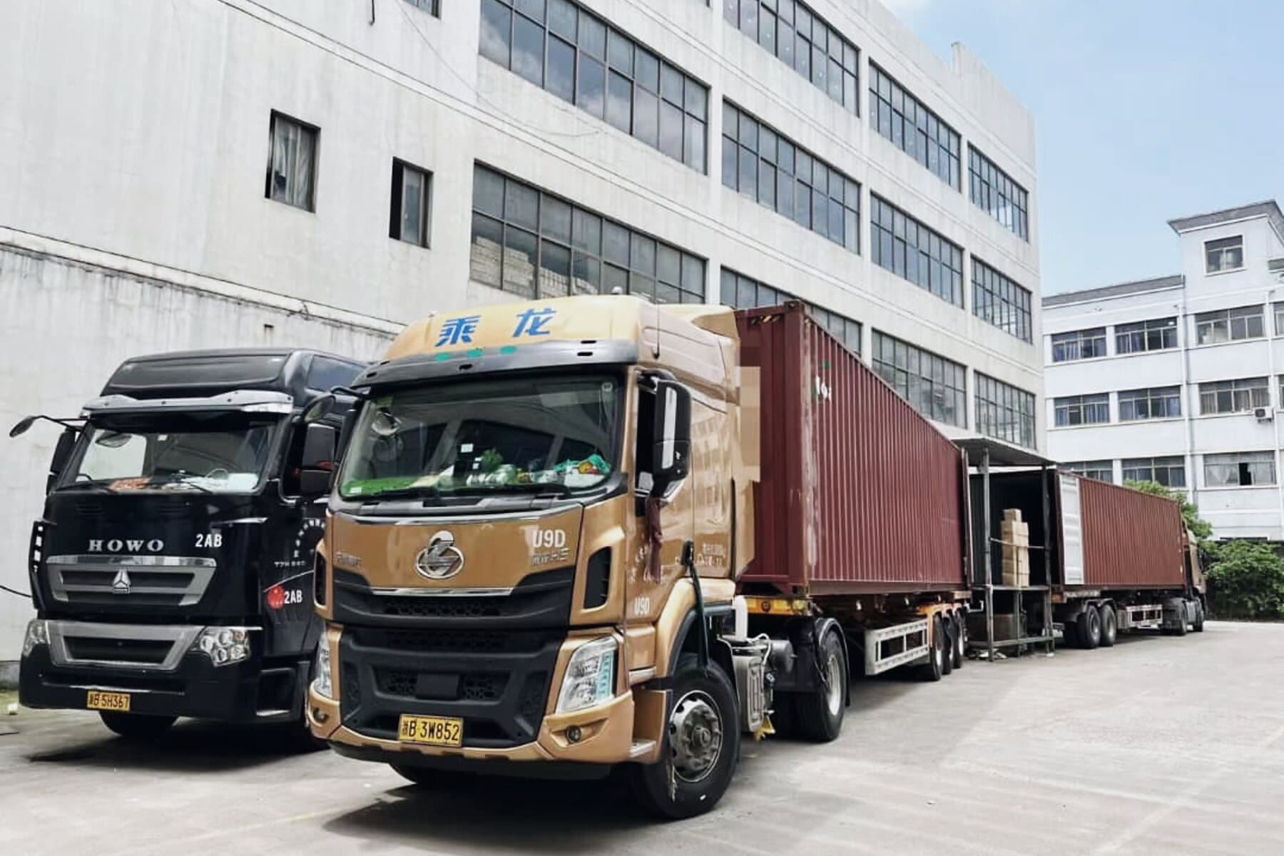 Cartons loaded and secured inside a sea container ready for export